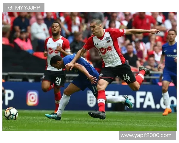 狼队与不莱梅激战正酣谁能在这场较量中笑到最后