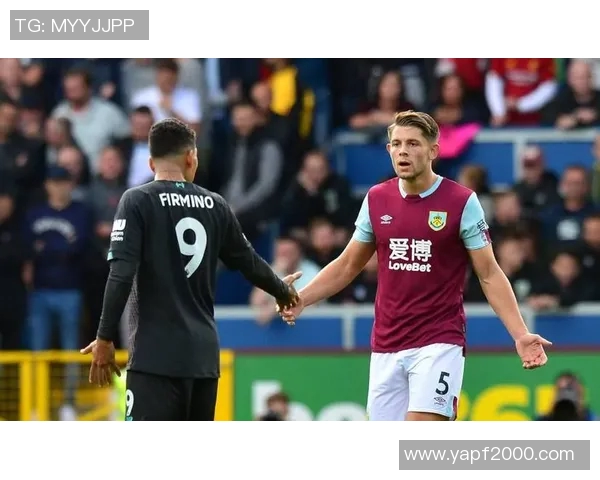 诺维奇与博尔顿精彩对决直播全程回顾与分析