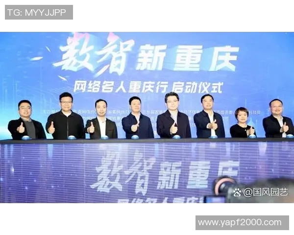 高斯大学与智利大学的学术竞争与合作探讨