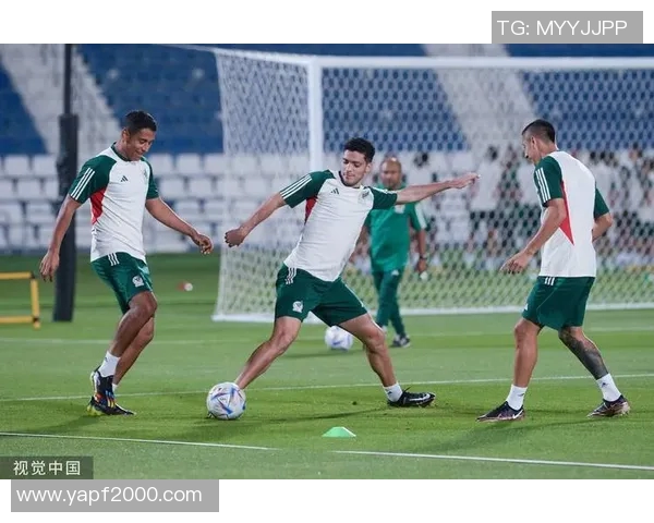 2018年世界杯墨西哥对阵韩国全场比赛数据分析与战术解读