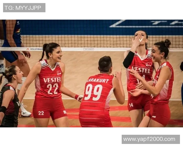 2014年美国女排与土耳其的激烈对决回顾与精彩瞬间分析