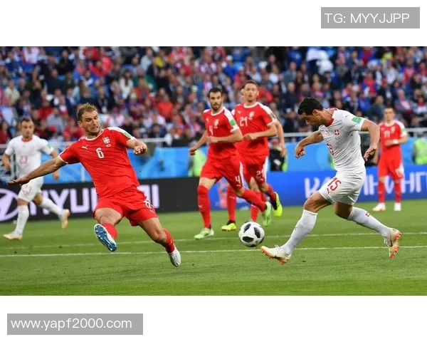 乒乓球深度解析：杭州乒乓球队如何实现整体压制与战术优势