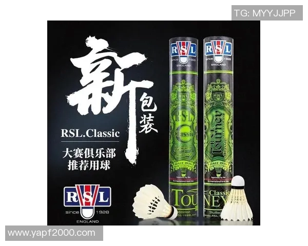 从零基础到高手之路羽毛球节奏与技巧全方位指南