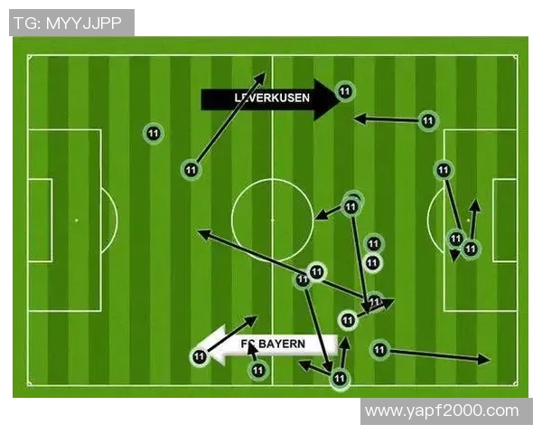 北京羽毛球队进攻策略解析与战术创新探讨