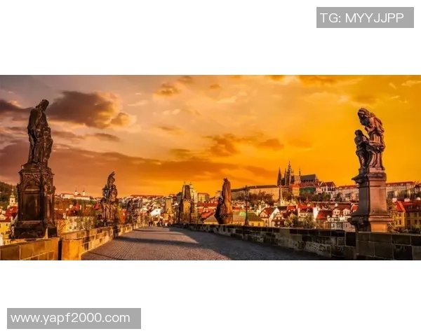 布莱克尼的魅力探寻：揭示这座城市的历史与文化之美