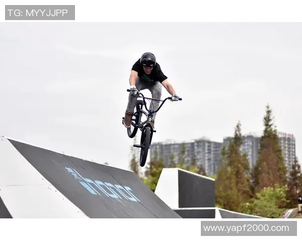 成都极限运动队实力分析与表现评估探讨