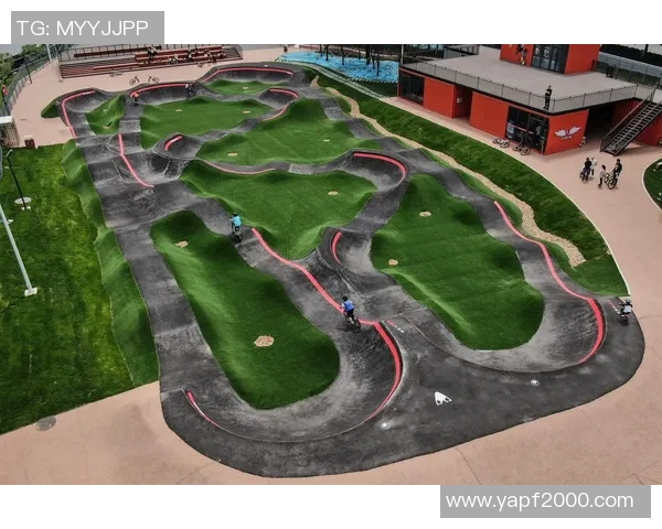 极限运动的魅力与挑战：深入探讨上海极限运动队的战术与策略