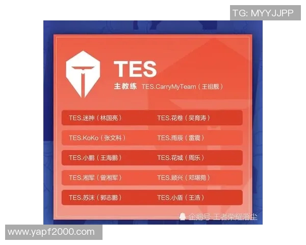王者荣耀战术解析：深入探讨WE战队的控制能力与策略运用