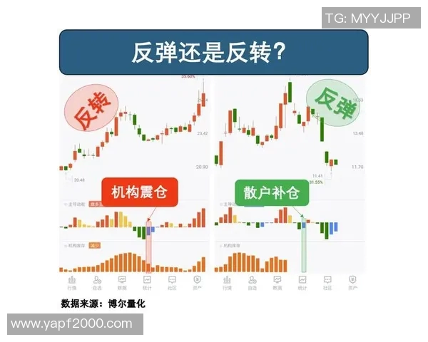 谢什科的传奇旅程与影响力探讨：从历史到现代的多维视角
