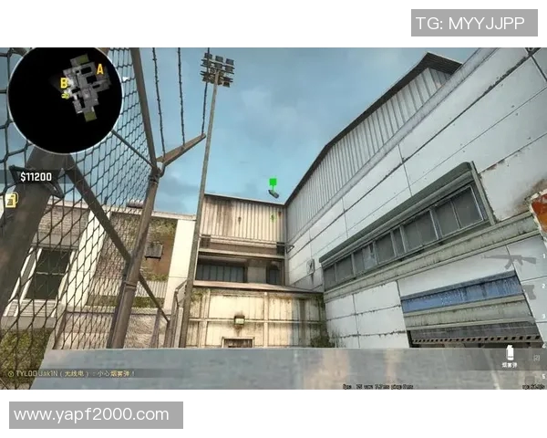 CSGO战术解析：深入探讨JDG中路突破的成功秘诀与策略