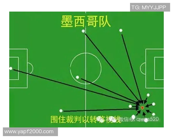 西安网球队在世界杯中的团队协作表现分析与点评