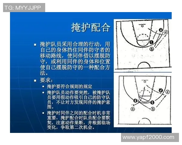 上海排球队的默契配合与战术分析探讨